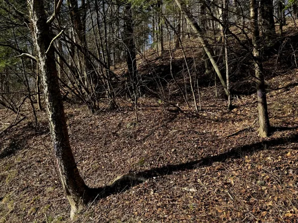 5 State Route 29 S, Noxen, PA 18636