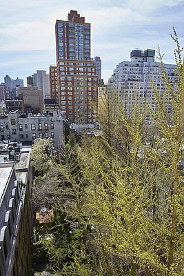 Sold by Stribling | media 14