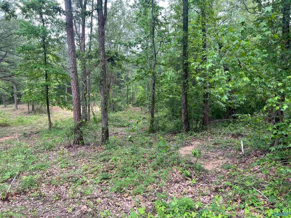 1 Ghost Hill Rd, Trinity, AL 35673