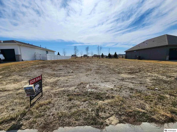 10221 Cove Hollow Dr, Papillion, NE 68046