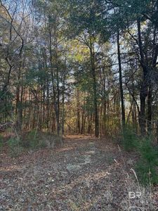 756 Ted Bates Rd, Evergreen, AL, 36401