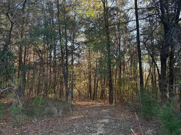 756 Ted Bates Rd, Evergreen, AL 36401