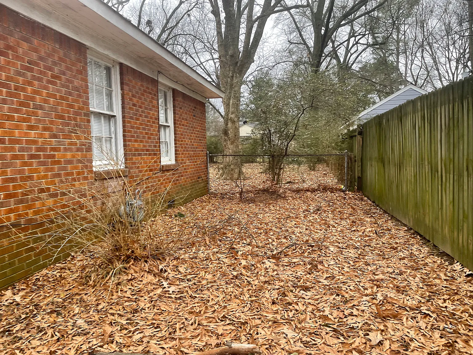 2 bed, 1.0 bath, 950 sqft, $975 — Photo 2