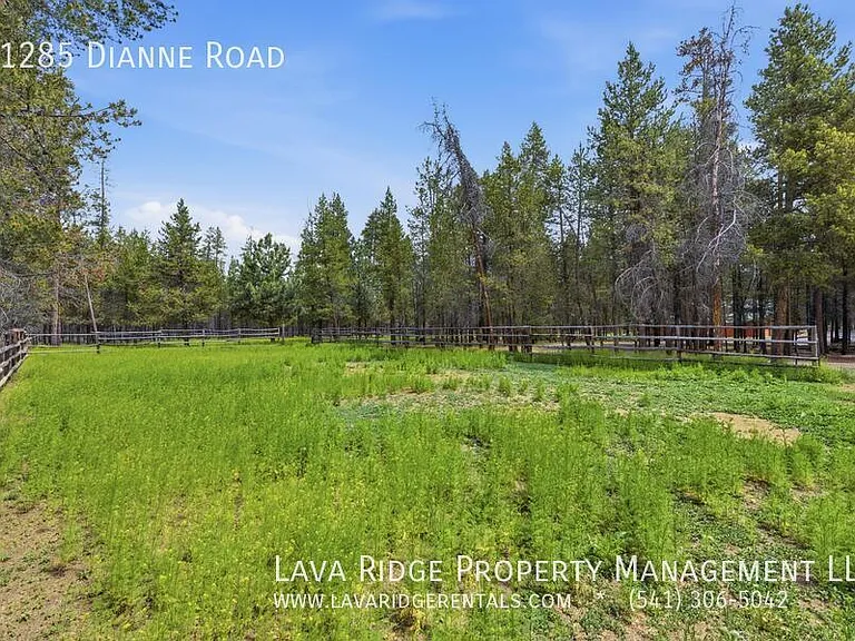 51285 Dianne Rd — Photo 61