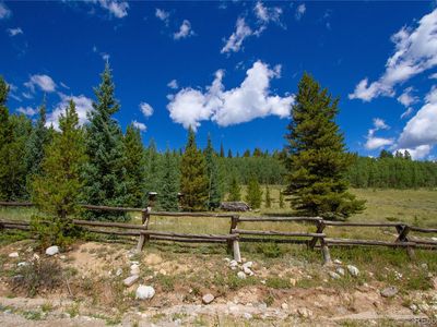 1147 County Road 1, Alma, CO, 80420