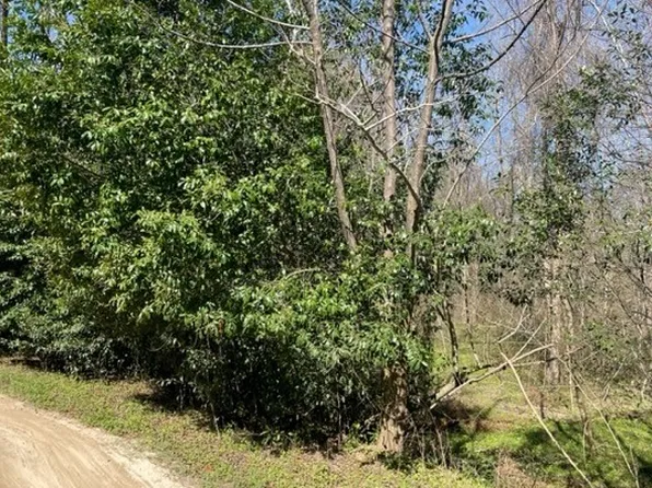 SE Shalimar Trl, Lee, FL 32059