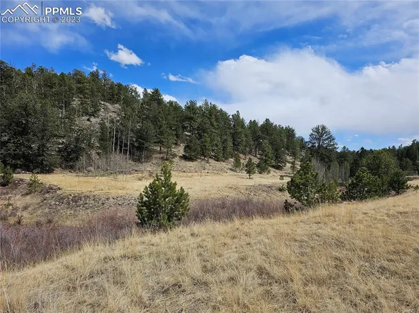 168 Strong Dr, Cripple Creek, CO 80813