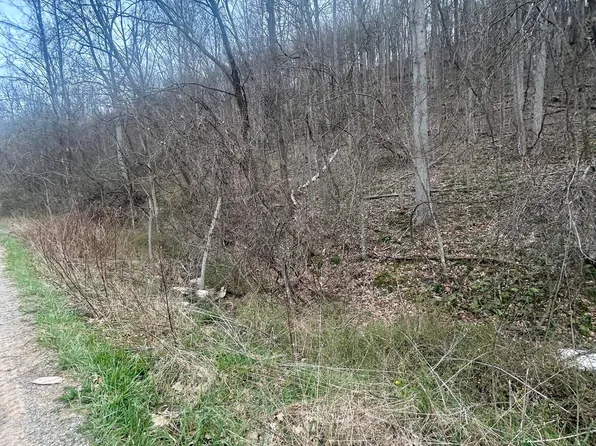 0 Cedar Tree Ln, Abingdon, VA 24210