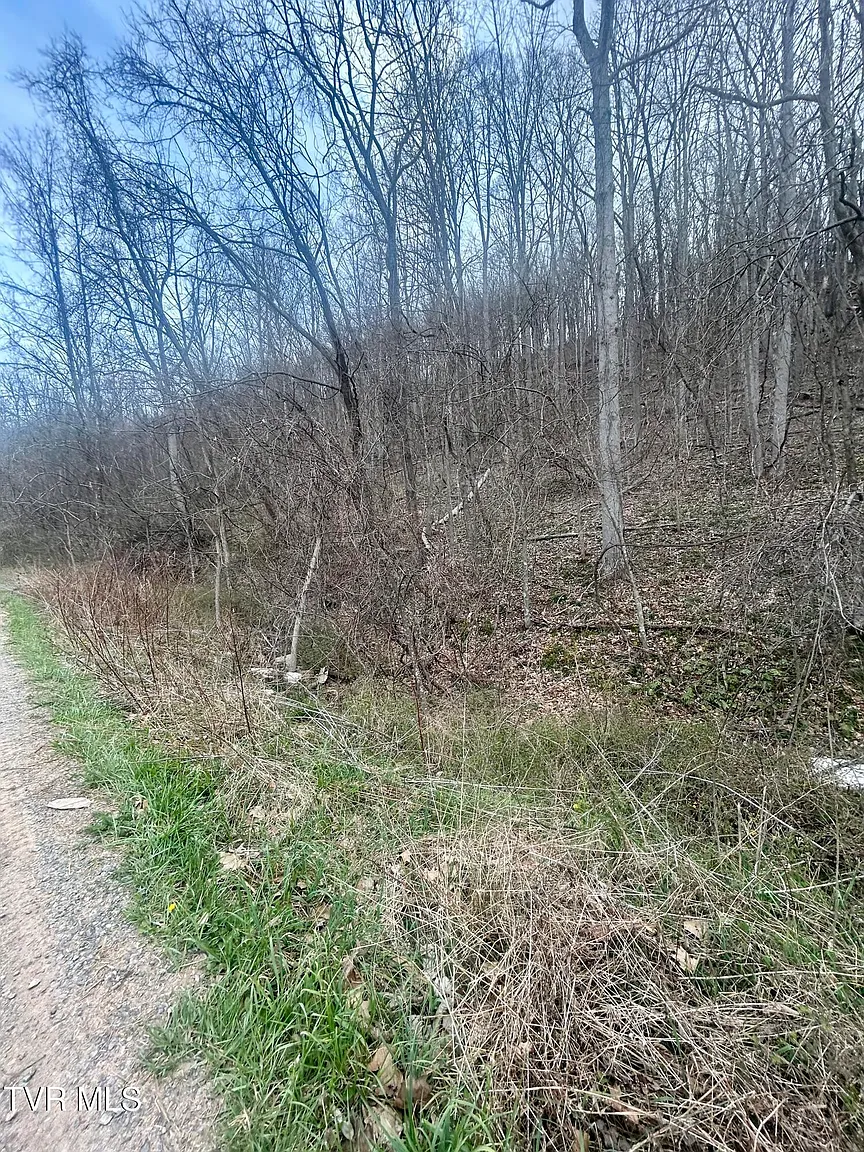 0 Cedar Tree Ln photo 1
