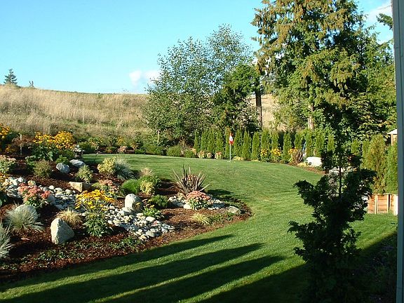 Professionally Landscaped Back Yard