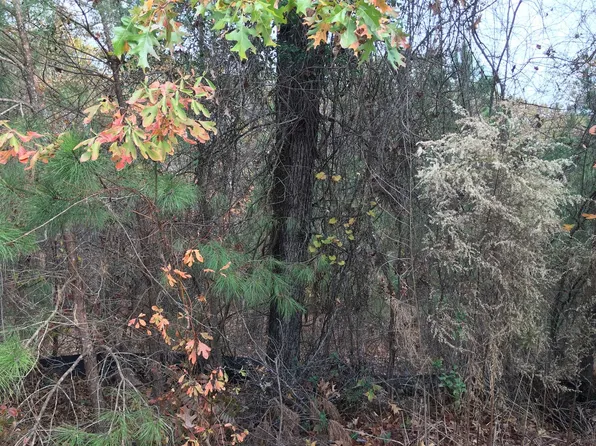 104 Bally Bunion Ln, Columbia, SC 29229