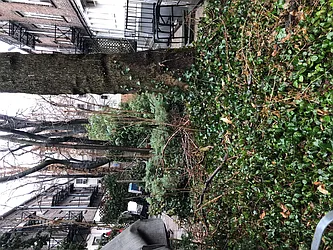 Rented by Downtown Realty Group LTD