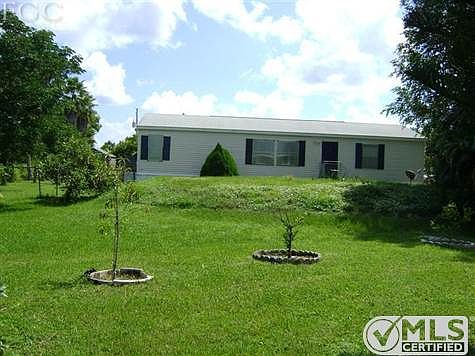part of side yard, several fruit trees