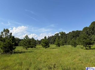 Stoney Ct, Dillon, SC 29536
