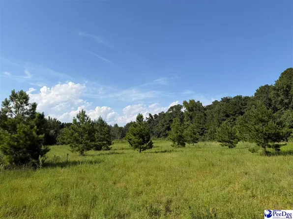 Stoney Ct, Dillon, SC 29536