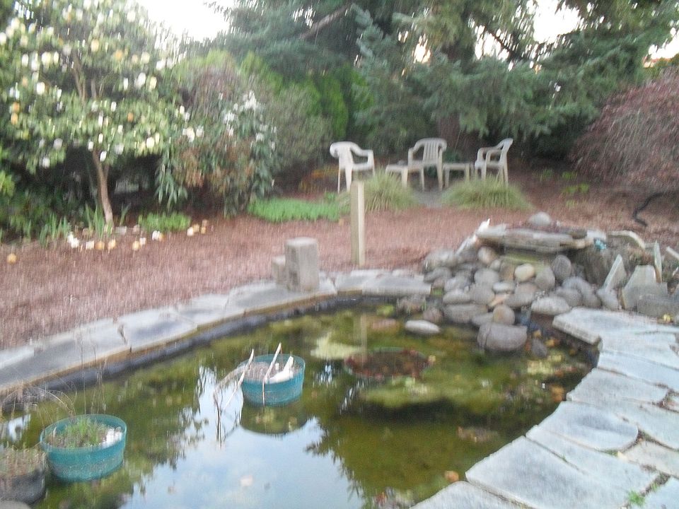 Water Falls in Pond