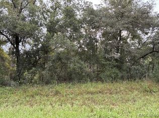 8781 N Quarry Dr, Citrus Springs, FL 34434