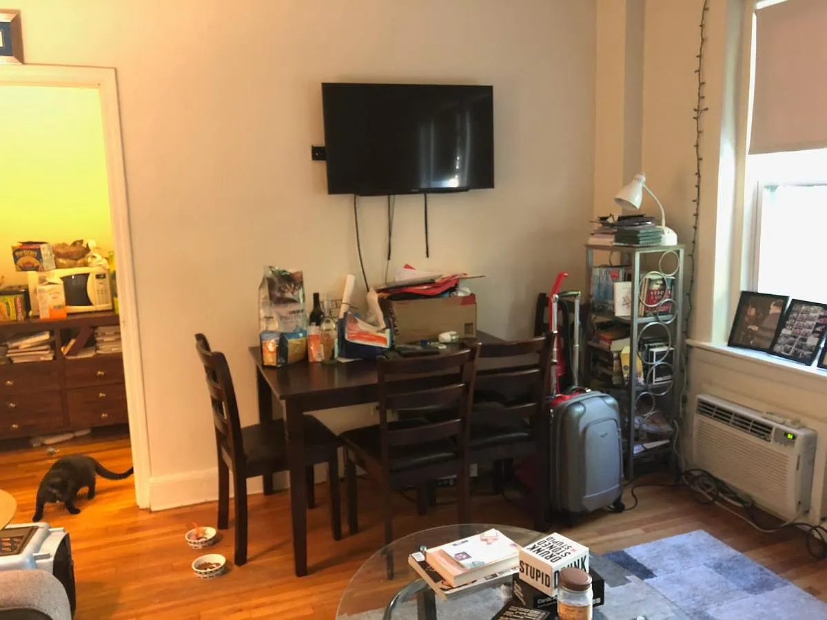 1 bed, $2,400 — Photo 3