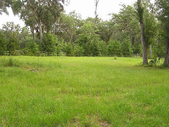 back pasture w/Bahia