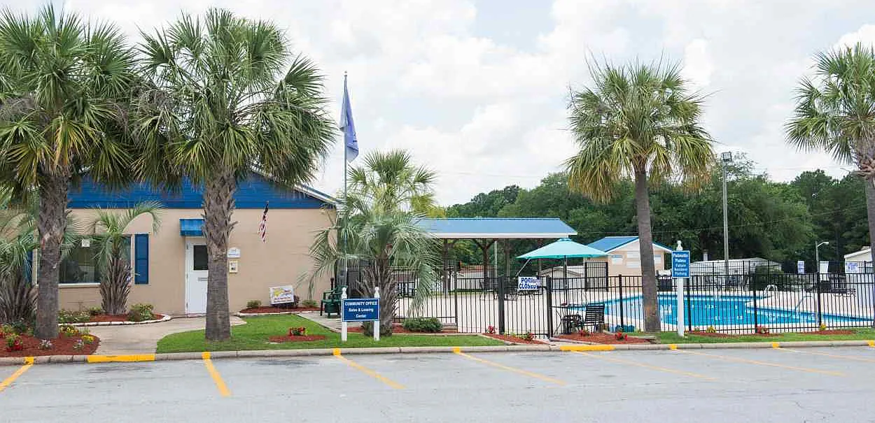 Palmetto Palms — Photo 4