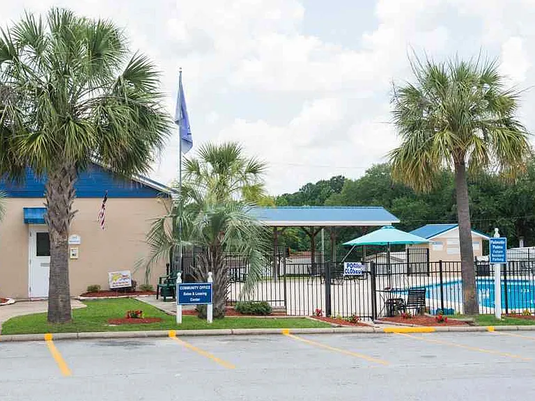 Palmetto Palms — Photo 4