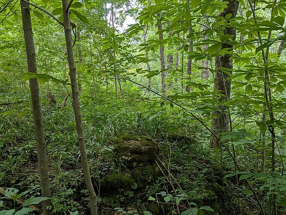 3rd image of 0 Valley Ln