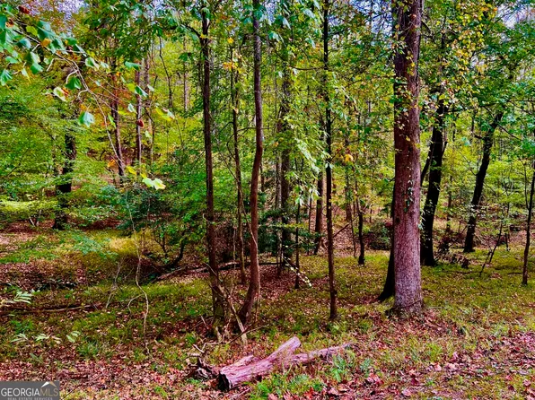 LOT 574 Satsuma Ct, Ellijay, GA 30540