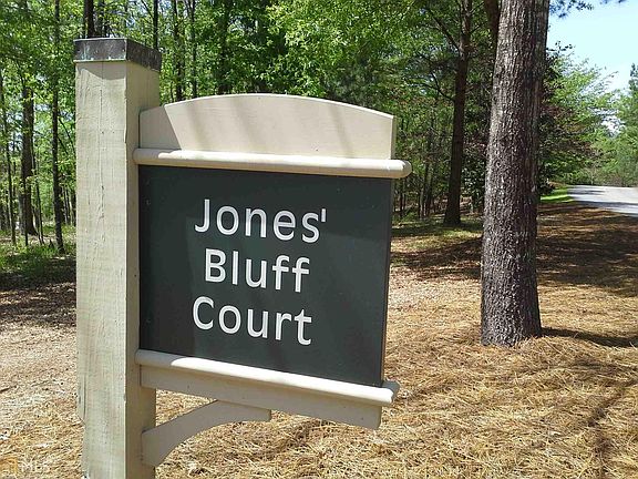 3rd image of 1060 Jones Bluff Ct #9
