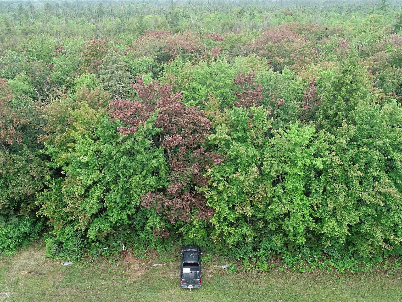 98839883 M94, Manistique, MI 49854 Zillow