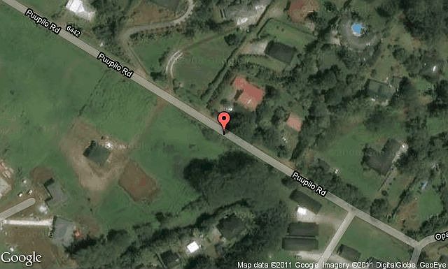 Map View