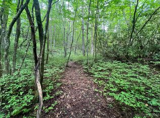 0 Marshall Lake Rd, Cedar Mountain, NC 28718