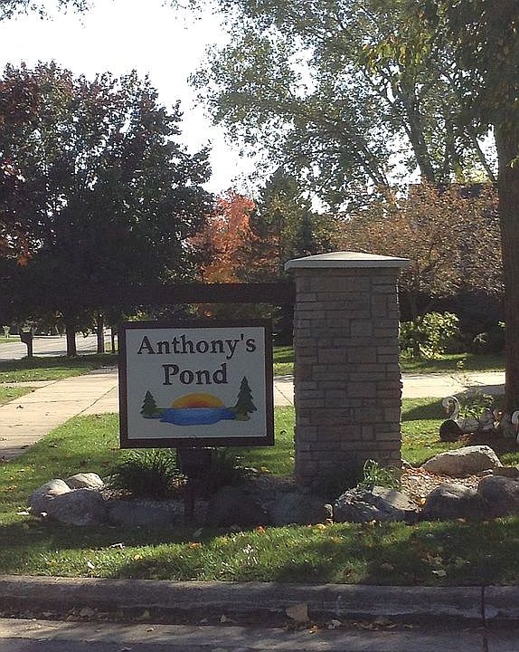 Anthony's Pond
