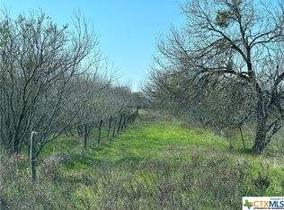 13428 Fm 1346, Saint Hedwig, TX 78152