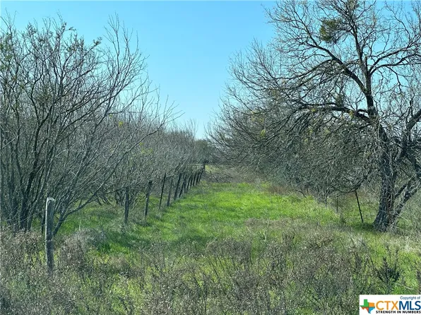 13428 Fm 1346, Saint Hedwig, TX 78152