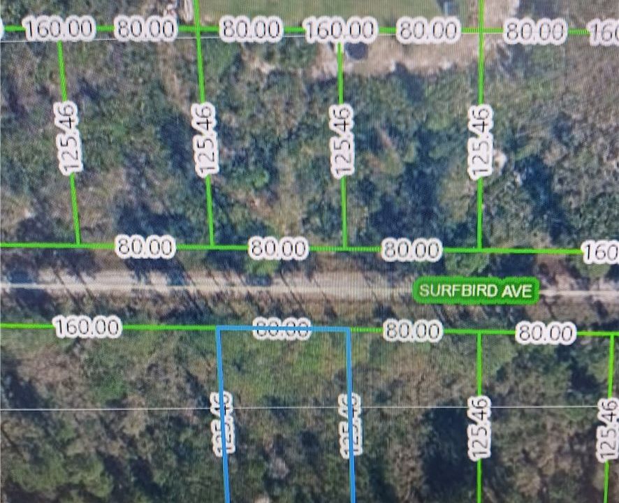 1st image of 3312 Surfbird Ave