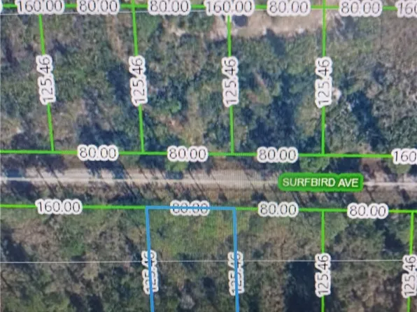 3312 Surfbird Ave, Lake Placid, FL 33852