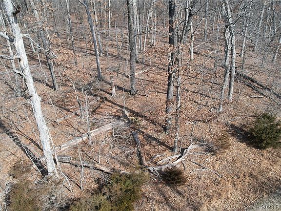3rd image of 1267 Spring Creek Dr