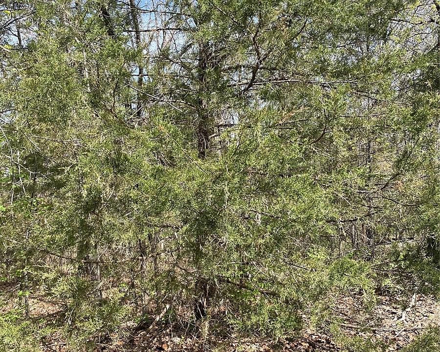 2nd image of 0 Villa Vista Dr