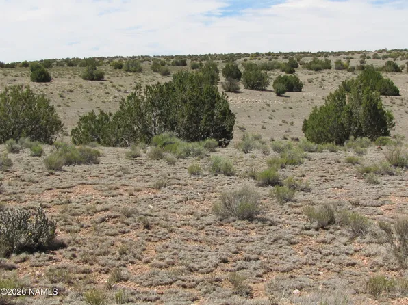 10197 High Butte Dr, Williams, AZ 86046