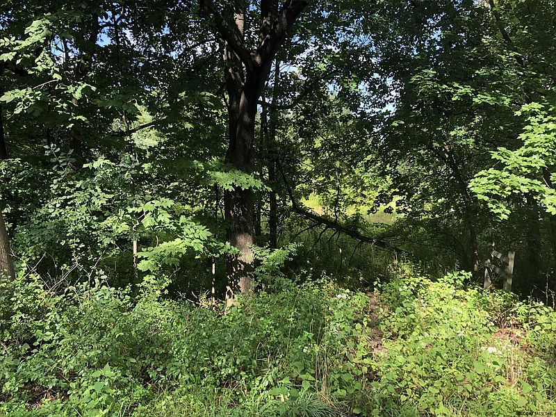 2nd image of 29 COLE Lane