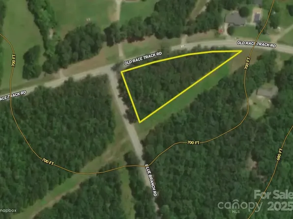 0 Blue Branch Rd Tract B, Gaffney, SC 29340