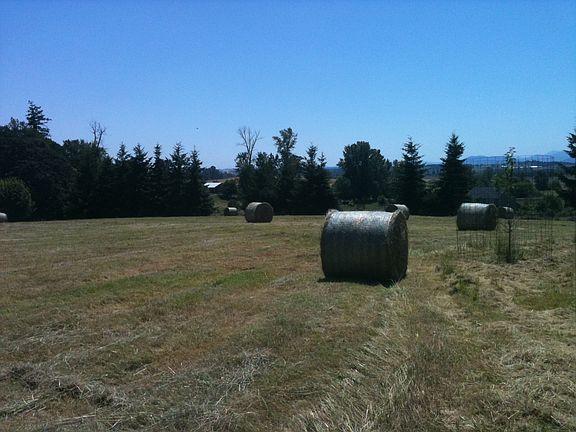 Pasture can be hayed