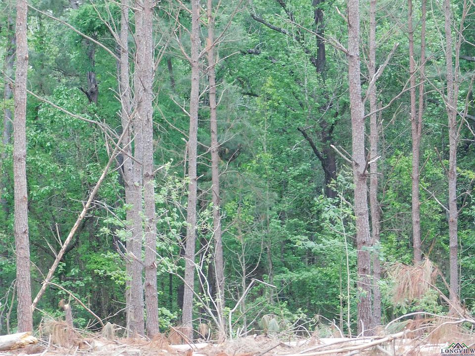 2nd image of Cardinal Rd