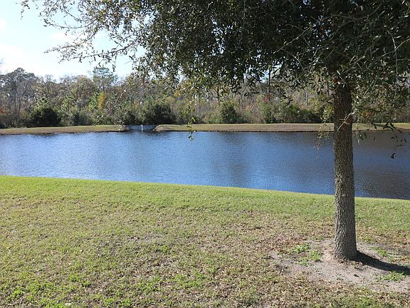 Pond behind home