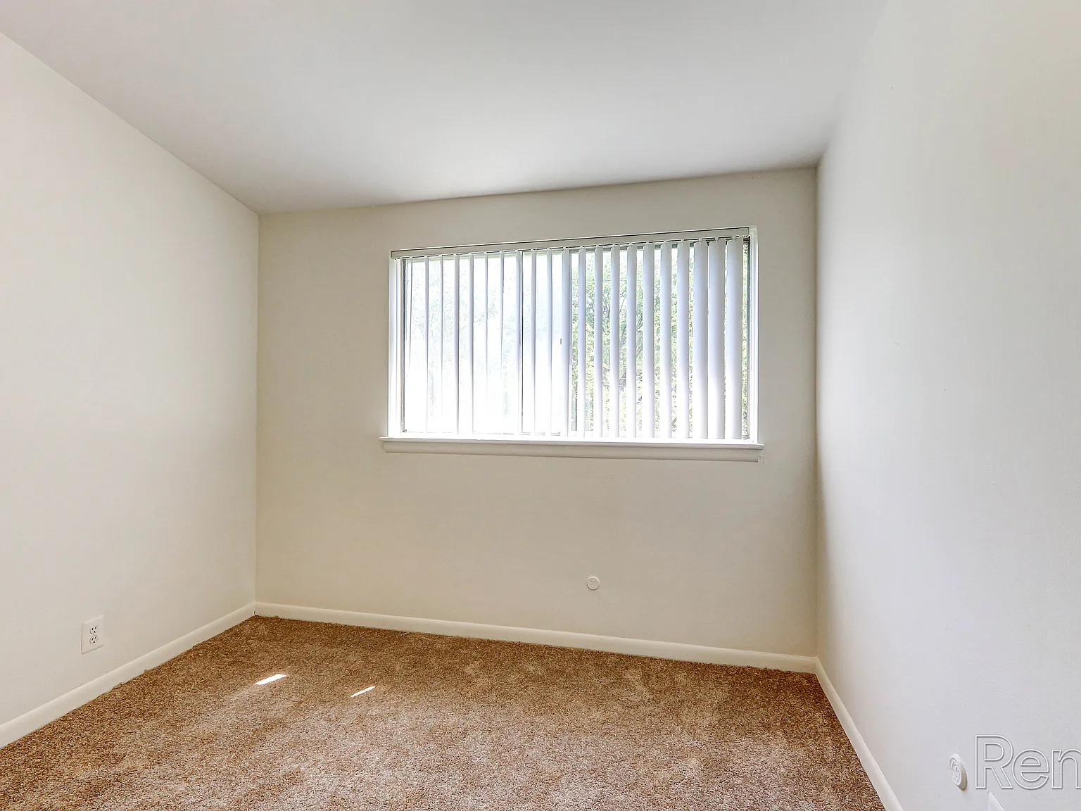 Elmsleigh Apartments — Photo 4