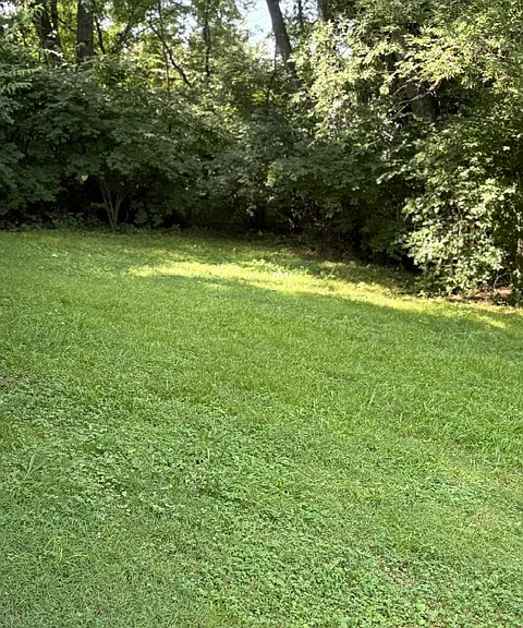 305 Lee Dr #A — Photo 13