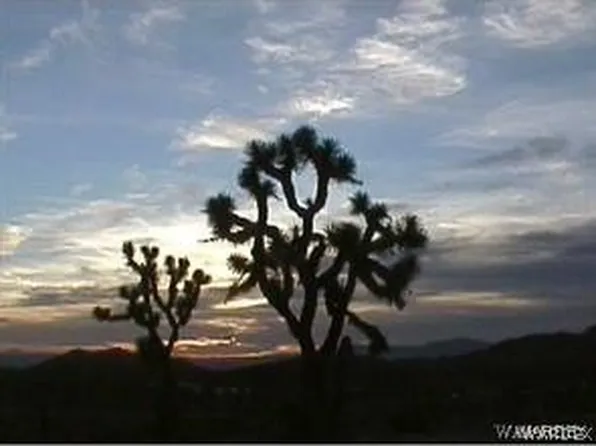 8704 W Leonard Dr, White Hills, AZ 86445