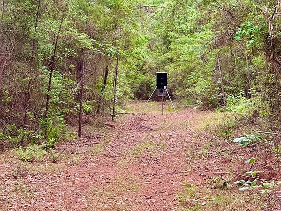 2nd image of 17 Accres County Rd #1375