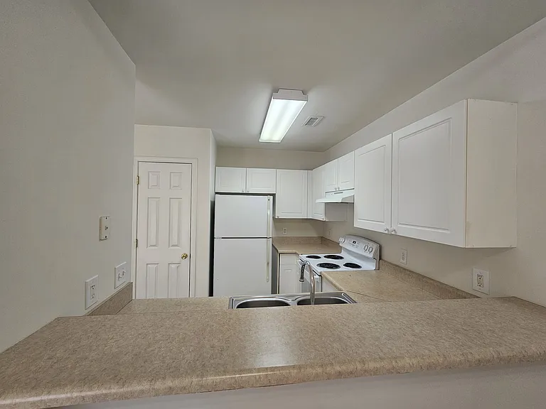 4216 Winding Branches Dr — Photo 3
