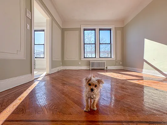 Rented by Gravity Real Estate Advisors | media 8